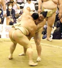 幕内・平戸海が２６歳の誕生日「もういい年。三役へ復帰したい」