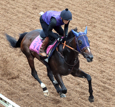 【紫苑Ｓ】転厩初戦のオークス２着馬ドリームコアは坂路で軽めの追い切り　田中博康調教師「余力残しにしました」
