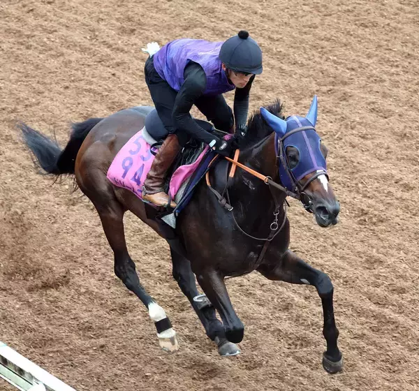 【紫苑Ｓ】転厩初戦のオークス２着馬ドリームコアは坂路で軽めの追い切り　田中博康調教師「余力残しにしました」