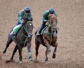 【サウジアラビアＲＣ】フライトライン産駒の有望株デミアンが伸びやかな動き　斎藤誠調教師「腰も力をつけてきて」