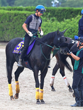【天皇賞・秋・木戸の特注馬】毎日王冠覇者セイウンハーデスは舞台適性が光る　橋口調教師「東京が断トツでいい」