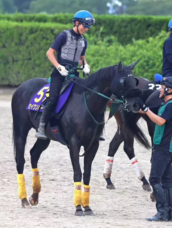 【天皇賞・秋・木戸の特注馬】毎日王冠覇者セイウンハーデスは舞台適性が光る　橋口調教師「東京が断トツでいい」