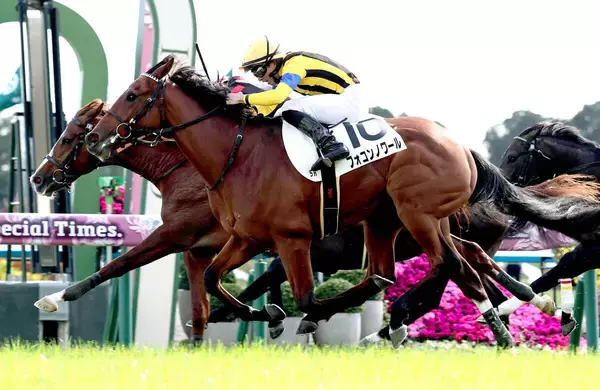 【京都５Ｒ・２歳新馬】母は米Ｇ１馬　直線で突き抜けたフォコンノワールに岩田望来騎手「ゲートだけが残念」