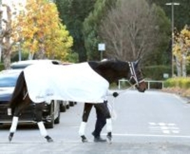 【チャンピオンズＣ・考察】好枠のアウトレンジ乾いた馬場で巻き返しあるぞ　３番枠のメイショウハリオも気になる