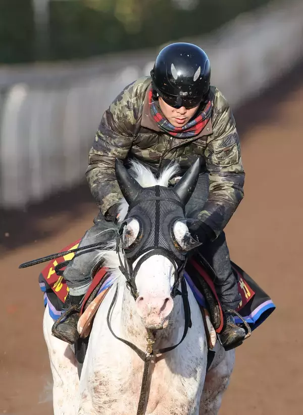 【注目馬動向】白毛のマルガは武豊騎手とのコンビでクイーンＣ出走を本線に調整