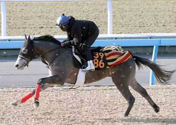 【ＰＯＧ】好時計マークのウインアプローチ　Ｇ１・２勝の父も管理した畠山調教師「何とかこの馬で勝ちたい」