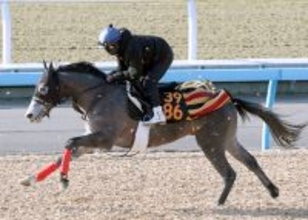 【ＰＯＧ】好時計マークのウインアプローチ　Ｇ１・２勝の父も管理した畠山調教師「何とかこの馬で勝ちたい」