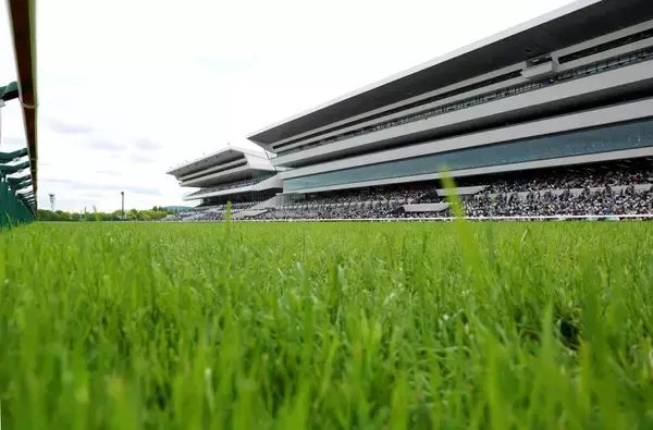 プロキオンＳの前日発売を取りやめ　降雪の影響が予想されるため　中止なら昨年２月以来