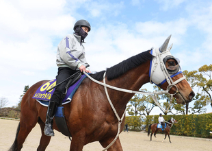 日曜阪神競馬場の注目激走馬…阪神１１Ｒ大阪杯・Ｇ１