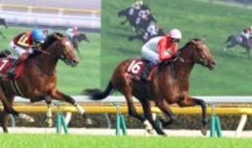 【青葉賞】武豊騎手が歴代最多タイの４勝目　シンボリクリスエスの初制覇から２４年　ゴーイントゥスカイがダービーへ名乗り