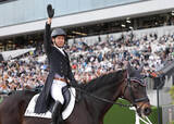 「【読売マイラーズＣ】和田竜二元騎手が引退式当日に“実戦復帰”　誘導馬でかつての相棒ディープボンドに騎乗」の画像1