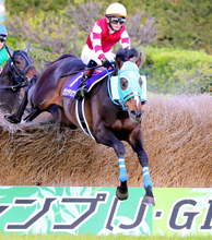 障害界の絶対王者オジュウチョウサンが２６年度の顕彰馬に選定　史上最多のＪＧ１・９勝　　ＪＲＡ発表