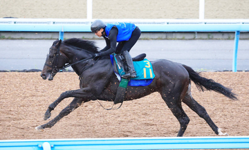 【ＰＯＧ】乗り込み豊富なエランヴィータが初戦から好勝負だ　柄崎調教師「しっかりと動けるようになってきた」