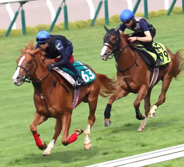 【ＰＯＧ】武豊騎手が「背中は悪くない」とジャッジ　１２日函館デビューの良血イッペイがどんな走り見せるか　
