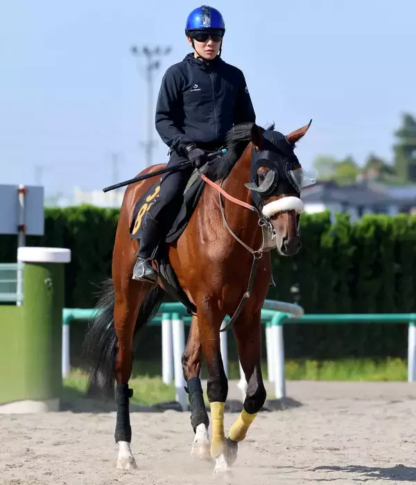 【注目馬動向】青葉賞２着のタイダルロックは新潟で復帰へ　左前脚第一指骨の骨折で日本ダービー断念