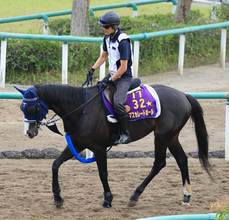 【キングジョージ】アルマカムなど回避で１０頭立てに　出馬投票は日本時間２３日１８時締め切り