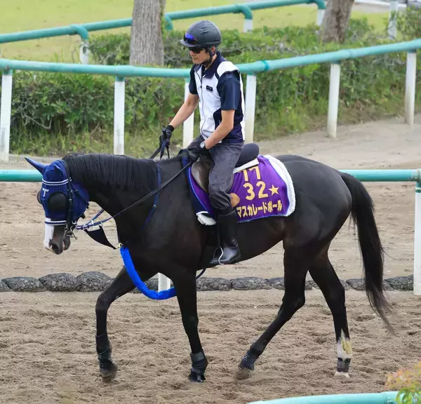 【キングジョージ】アルマカムなど回避で１０頭立てに　出馬投票は日本時間２３日１８時締め切り
