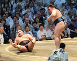 「強いぞ安青錦、大の里に続き、豊昇龍にも勝利…両横綱連破で大関復帰まであと１勝「残りもこの調子で頑張れたら」３度目賜杯も視野」の画像1