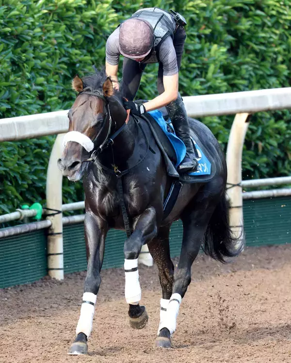 【注目馬動向】重賞３連勝中のマテンロウコマンドはＪＢＣスプリントに参戦　長谷川調教師「安定感が出てきましたね」