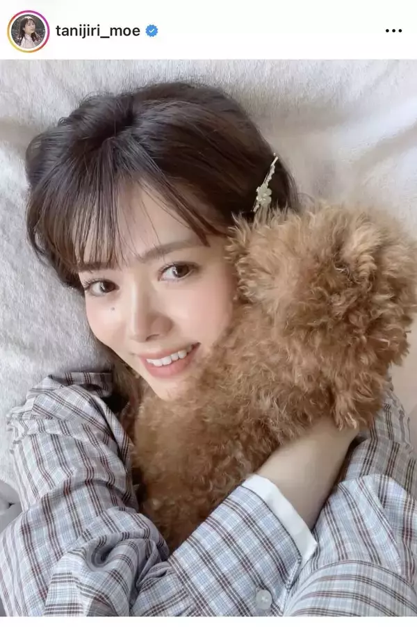 谷尻萌アナ「もふもふたち」との寝そべり姿に「癒されてます」「溺愛が溢れてる」「これは反則級でしょ」