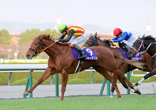 【阪神ＪＦ】桜花賞へ新スター誕生！スターアニスが２歳女王　１１年阪神ＪＦ８着・母エピセアロームの雪辱も