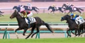 【中山５Ｒ・２歳新馬】母が米Ｇ１馬のプラウディッツが快勝　田中博康調教師「ゆっくりとクラシックを目指していける器」