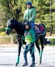 【有馬記念】ラストランへ万全！「バランスは前走、前々走と比べて一番いい」泉谷楓真騎手がジャスティンパレスに太鼓判