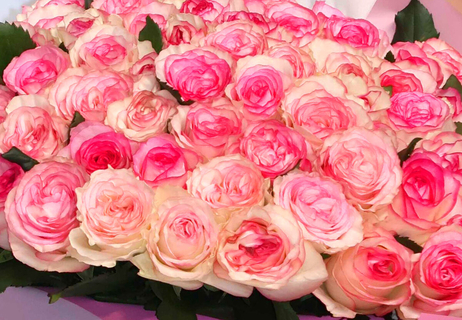 馬場亮成＆鈴木まゆり　結婚を発表「夫婦として歩みを進めて」…ともに「東宝芸能」所属