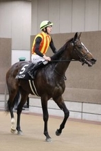 【注目馬動向】Ｇ１・２勝ノームコアの娘ドリームコア　次走クイーンＣの鞍上はルメール騎手