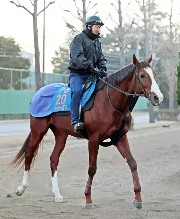 【注目馬動向】引退した小西厩舎から転厩のペイシャエス、２４年の覇者ヴァルツァーシャルはマーチＳを予定