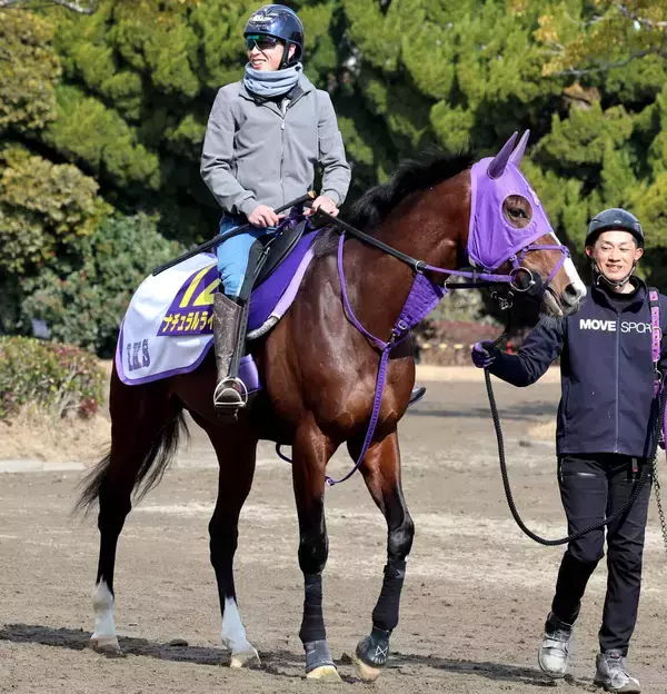 【注目馬動向】ナチュラルライズは引き続きマイルの左回りを照準　次走はかしわ記念の予定