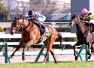 【アネモネＳ】ディアダイヤモンドが本領発揮の圧勝劇で桜花賞の有力候補に名乗り　手塚久厩舎は報知杯ＦＲに続く２週連続の桜切符ゲット