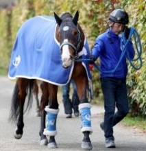 【高松宮記念】「３度目の正直」狙うママコチャは５枠１０番　陣営「見た感じのシルエットがいいですね」