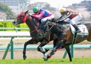 【中山６Ｒ・３歳１勝クラス】メイショウハチコウが内から差し切りＶ　ディー騎手「非常に力強い走り」
