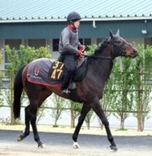 【チャーチルダウンズＣ】リゾートアイランドは早めの栗東入り　上原佑調教師「前走前よりは明らかに状態はいい」