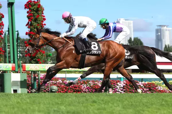 【札幌９Ｒ・コスモス賞】２番人気デアグランツが差し切り連勝　浜中俊騎手「手応え通りかわしてくれました」