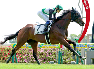 【中京３Ｒ・２歳新馬】ソフトバンク・柳田悠岐選手、所有馬で初の新馬勝ちに「ありがたいですね」　