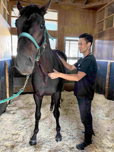 【菊花賞】ロブチェンの強さは「緩く」柔軟な筋肉　担当の中井健司獣医師「本当に良化をたどっていった馬」