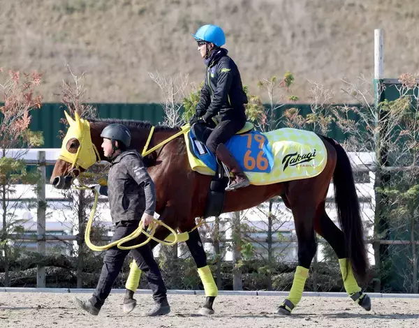 【ステイヤーズＳ】ワープスピード復活へ陣営手応え「しっかり攻めてこれ以上ない状態」