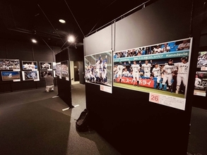 野球報道写真展１３日より開幕、今年の名シーンを展示