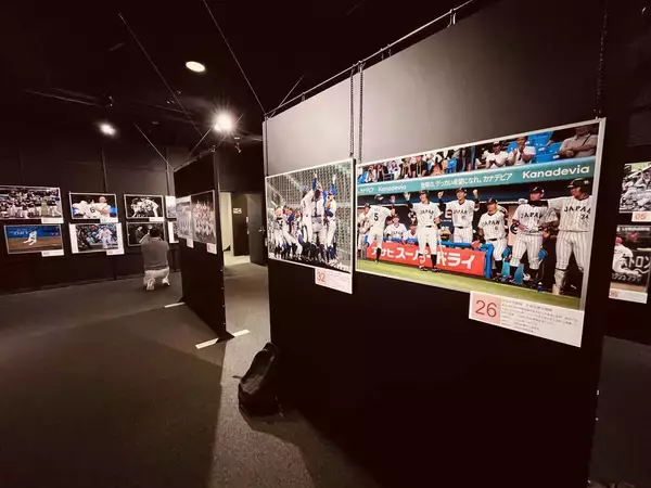 野球報道写真展１３日より開幕、今年の名シーンを展示