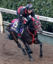 【朝日杯ＦＳ】Ｇ１初挑戦の西園翔調教師が送り出すタガノアラリアは４枠６番　「ちょうどいい枠だと思います」