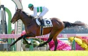 【注目馬動向・３歳】新馬Ｖのアクセスは北村友一騎手と京成杯へ　キッコベッロは杉原誠人騎手とあすなろ賞