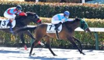 【東京４Ｒ・３歳新馬】８番人気の伏兵ナムラダリアが鋭く差し切る　原田和真騎手「可能性は大いに秘めている」