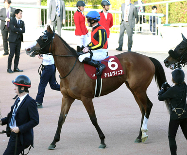 【中山記念】ペース上がらず...チェルヴィニア５着にルメール騎手は「もう少し前のポジションが欲しかった」と悔やむ