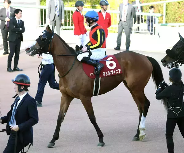 【中山記念】ペース上がらず...チェルヴィニア５着にルメール騎手は「もう少し前のポジションが欲しかった」と悔やむ