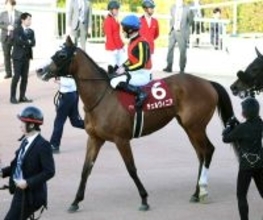 【中山記念】ペース上がらず...チェルヴィニア５着にルメール騎手は「もう少し前のポジションが欲しかった」と悔やむ