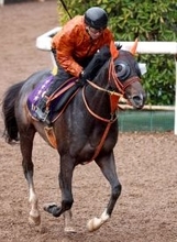 【注目馬動向】ジャンタルマンタルはドバイ遠征中止　中東情勢の影響を受け　チャンピオンズマイルなどを候補に次走を決定