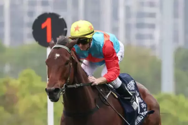 単勝１・０倍の圧倒的人気に応えカーインライジングが１９連勝　香港競馬の連勝記録を更新　２番人気は７０倍