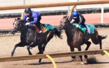 【桜花賞】１週前から激変！ドリームコアが見違えるような軽快さで母子Ｇ１勝利狙う